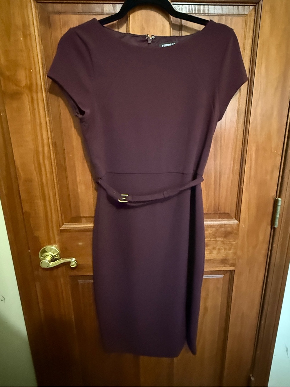 Express Plum Sheath Dress with Waist Belt